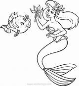 Flounder Ariel Pages Bringing Coloring Flower Xcolorings 97k 961px Resolution Info Type  Size Jpeg Printable sketch template