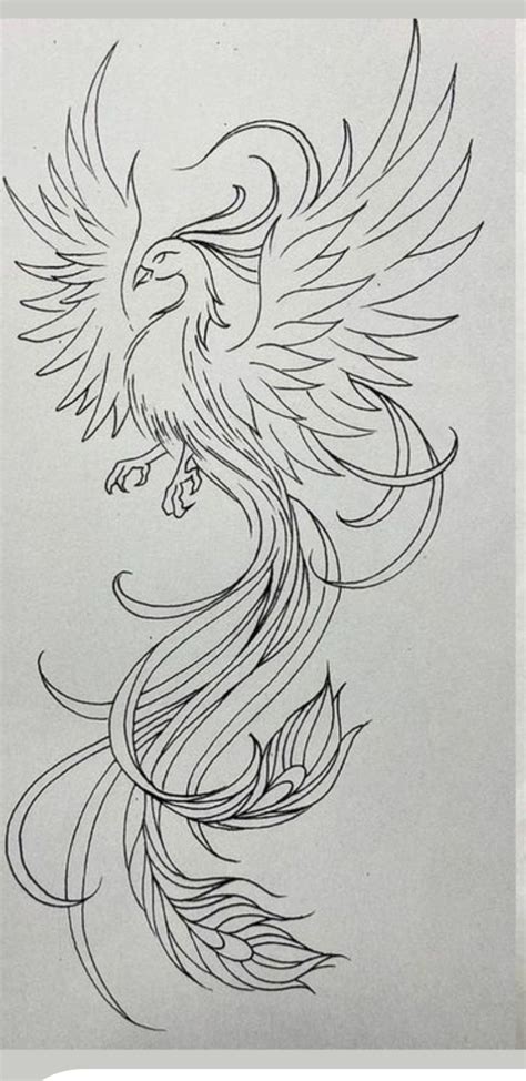 tattoo design drawings pencil art drawings bird drawings cool art