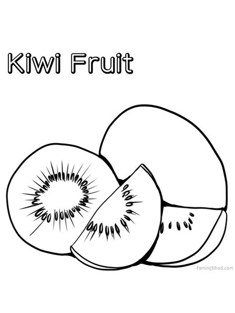 kiwi coloring page  kiwis originated   northern chinese