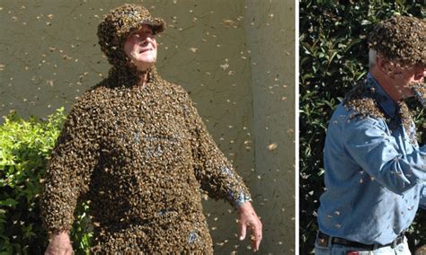 creating a buzz meet the bee wrangler who can coax 100 000 insects on