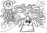 Anemone Sea Drawing Getdrawings sketch template