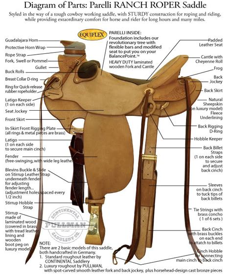 diagram  western saddle parts saddles bridles tack pinterest western saddles