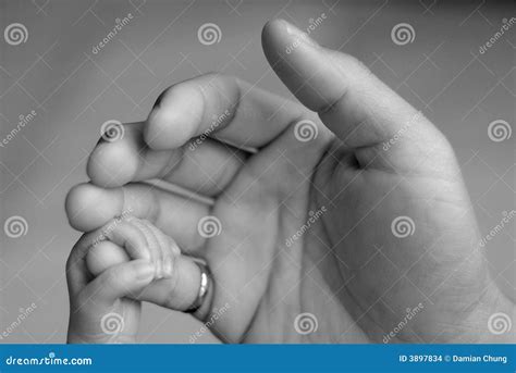 baby hand stock photo image  children love child