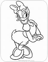 Coloring Disneyclips Daisyduck Posing Coloringpages Donald sketch template
