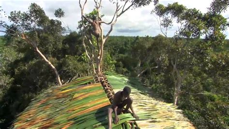 korowai tribe papua new guinea bbc human nature jungles youtube
