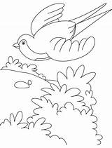 Coloring Flying Bird Pages Swallow Birds Flight Sky Cartoon Clipart Getcolorings Color Library Getdrawings Printable Popular Kids sketch template