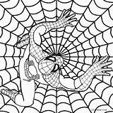 Spiderman Coloring Pages Printable Kids Colouring Print Book Comic Cartoon Superhero Avengers Cool2bkids Clipartmag Choose Board sketch template