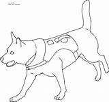 Dog Coloring Pages Police Rescue Search Drawing Color Dogs Alaskan Printable Collar Puppy Colouring Malamute Kids Sheets Drawings Clipart Book sketch template