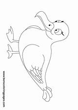 Seagull Coloring Sheet Handout Below Please Print Click sketch template