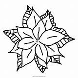 Poinsettia Coloring Pages sketch template