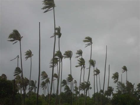 Monsoon Wind Definition Process Type And Impact