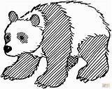 Disegno Colorear Pandas Wielka Kolorowanki Fu Kung Kolorowanka Ausmalen Animali Oso Genial Stampare Osos Druku Savana sketch template