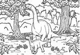 Dinosaurios Diplodocus Coloring Dinosaurier Adultos Erwachsene Dinosauri Colorare Dinosaur Malbuch Dinosaures Nature sketch template
