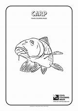 Carp Coloring Pages Cool Animals Print sketch template