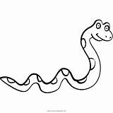 Snake Serpente Schlange Colorir Ular Ausmalbilder Mewarnai Ausmalbild Stampare Ultracoloringpages Uwu Imprimir sketch template