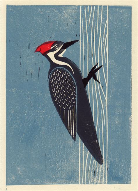 pileated woodpecker hand pulled linocut illustration art