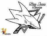Nhl Sharks Jose Shark Yescoloring Equipe Gratuit Ausmalbild Dessins Penguins sketch template