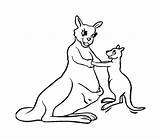 Kangaroo Coloring Baby Pages Rat Template Clipart Cute Anonymous Narcotics Mother Getcolorings Clipartmag Templates Print Printable Color Crafts Animal Colouring sketch template