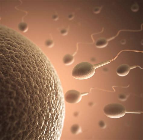 Sperma Forscher Entdecken Viele Viren In Sperma Welt