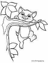 Coloring Kittens Hanging sketch template