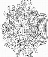 Coloring Adult Pages Flowers Color Print sketch template