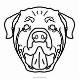 Rottweiler Colorare Disegni Colorir Cachorro Patinhas Kindpng Clipartkey Ultracoloringpages 28kb sketch template