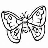 Moth Coloring Pages Drawing Color Insect Online Animals Animal Clipart Line Sheets Clipartmag Cecropia Thecolor Print Back Getdrawings Animalstown 565px sketch template
