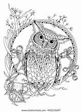 Coloring Owl Adults Forest Vector Elements sketch template