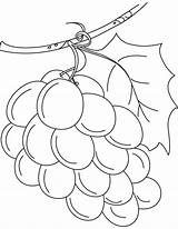 Coloring Wine Pages Water Into Popular sketch template