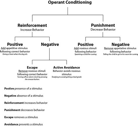 operant conditioning chart