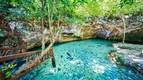 complete guide  cenote hopping  tulum bookaway