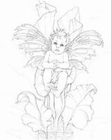 Pages Coloring Fairy Bergsma Jody Printable sketch template