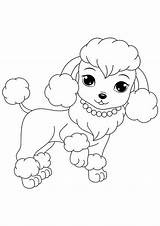 Poodle French Drawing Paintingvalley Cookie sketch template