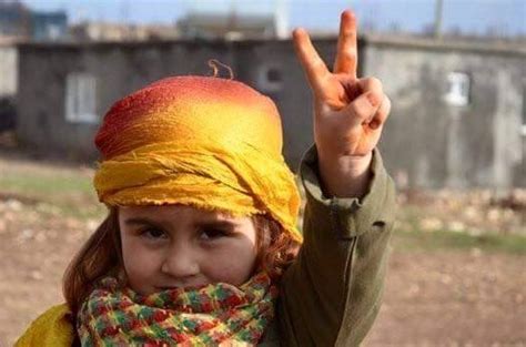 pin on hurrian mitanni hittites median kurds history