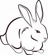 Rabbit Bunny Line Drawing Clip Rabbits Animals Google sketch template