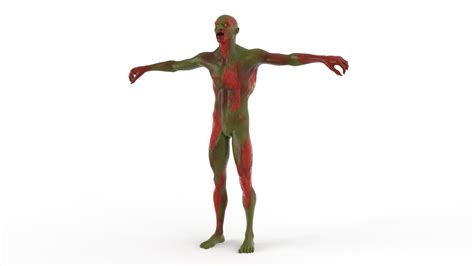 realistic zombie character body  model turbosquid