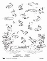 Coloring Pages Ecosystem Newfoundland Popular Aquatic Getdrawings sketch template