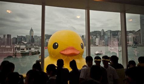 hong kongs giant rubber ducky dosmagazine