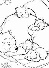 Colorare Bear Coloring Disegni Orso Orsi Orsetti Pianetabambini Altri sketch template
