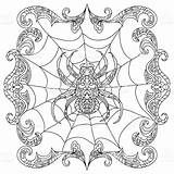Zentangle Spinne Farbtonseite Geeksvgs Vektorgrafik Ausmalbilder sketch template