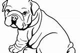 Coloring Pages Bulldog Towel Fat sketch template