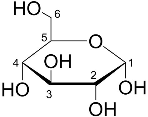 souborglucose haworthpng wikipedie