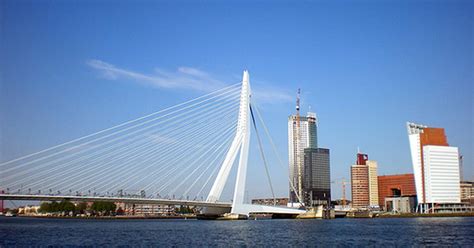 rotterdam  healthy city   netherlands dutch news
