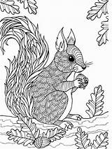 Kleurplaten Zentangle Malvorlagen Dieren Coloringbay Herbst Mycoloring Animal Omalovánky Rodent Veverka Eckersleys sketch template