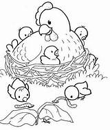 Poule Poussins Et Ses La Coloring Pâques Easter Adult Paques Coloriages Pages Sheets Chicken sketch template