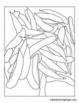 Coloring Beans Pages Bean Soybeans Green Plant String Drawing Colouring Getdrawings Clipart Library Popular sketch template