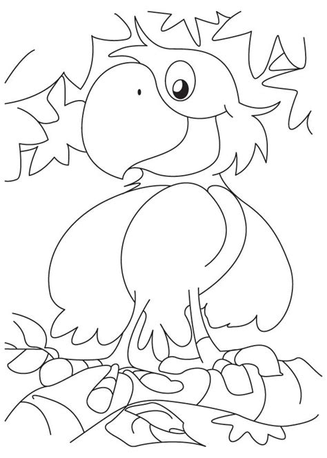 cute happy parrot coloring page    cute happy parrot