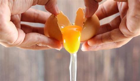 9 Rekomendasi Kocokan Telur Ergonomis Dan Serbaguna Yang Wajib Ada Di