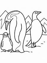 Antarctica Antarktis sketch template