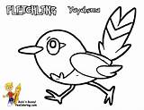 Coloring Pages Fletchling Pokemon Bubakids Regarding Thousand Photographs sketch template